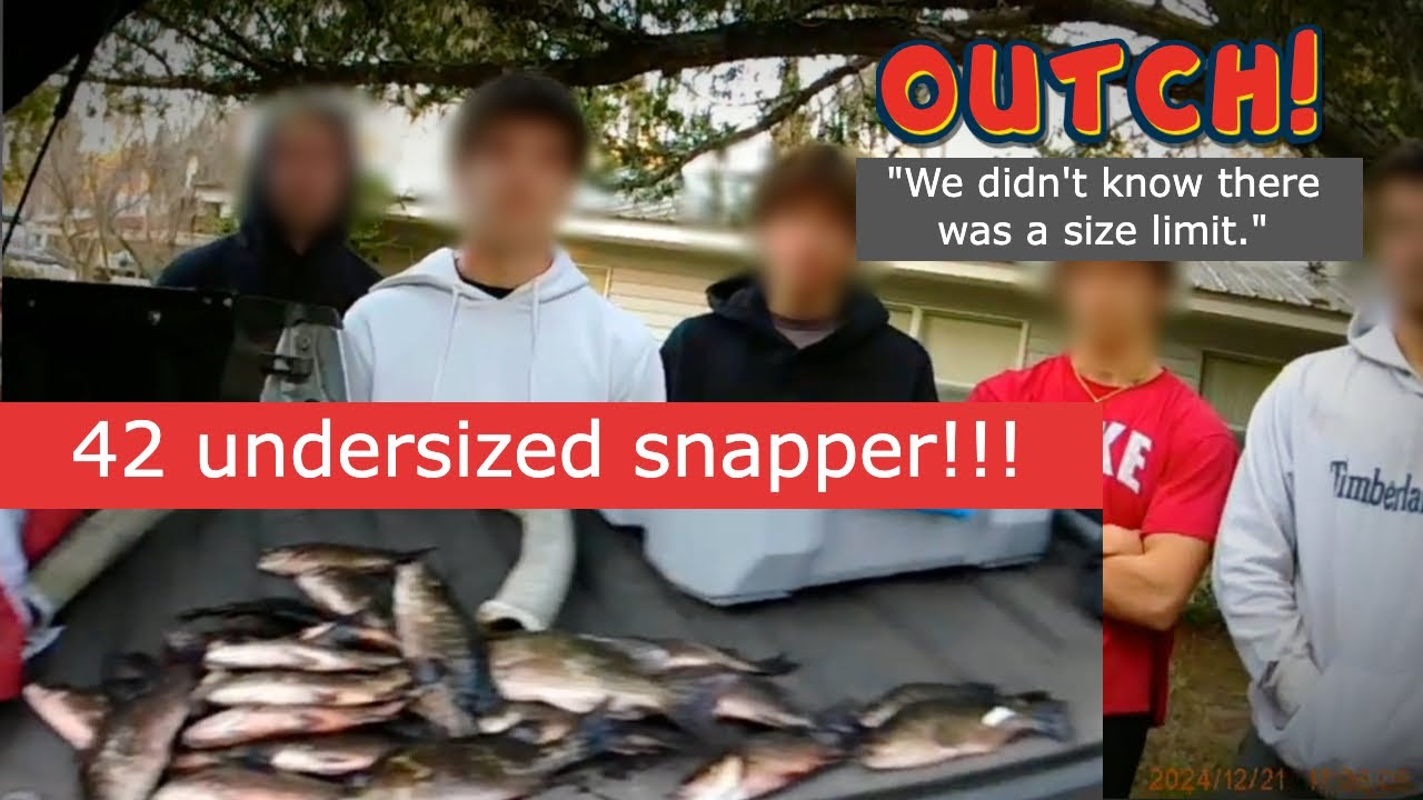 College students catch 42 illegal snapper !!!