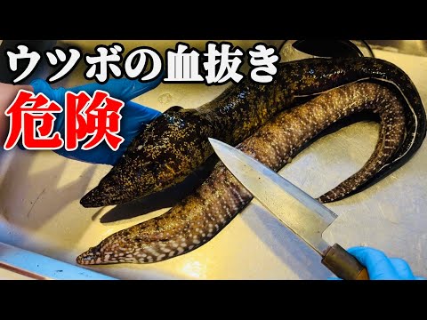 [Poisonous fish] When I cleaned it, it was full of that stuff. thumbnail
