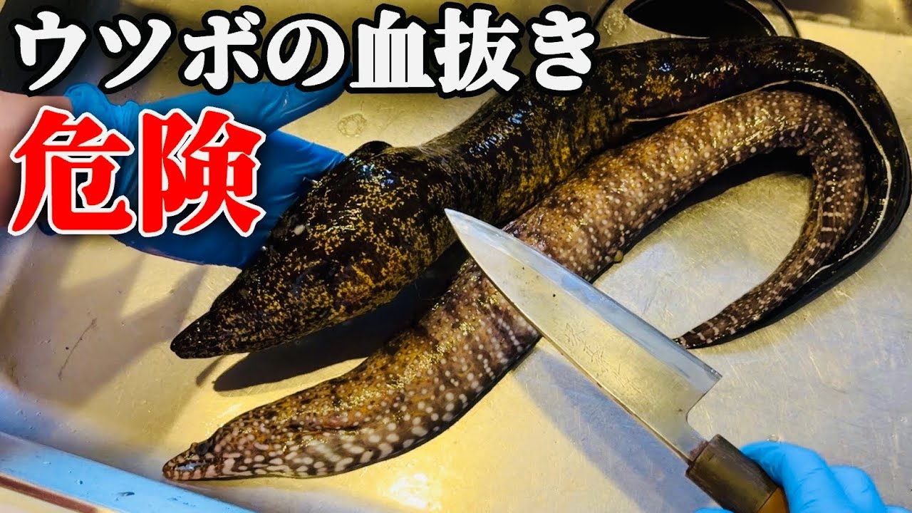 【毒がある魚】捌くとアレだらけでした。