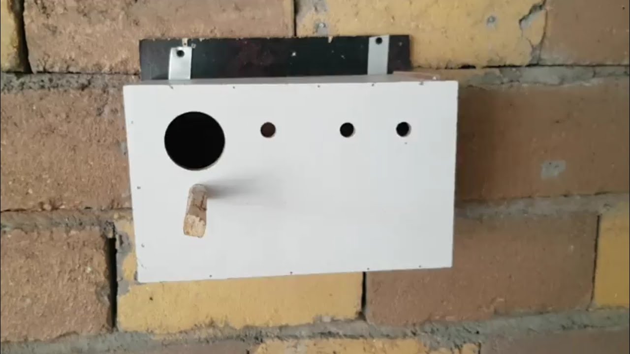 افضل طريقه لتثبيت بيوت طيور الزينه