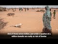 What challenges does the new president of Somalia face? | Explainer | Chatham House