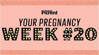 Your pregnancy: 20 weeks by Today's Parent 407,598 views 4 years ago 2 minutes, 9 seconds