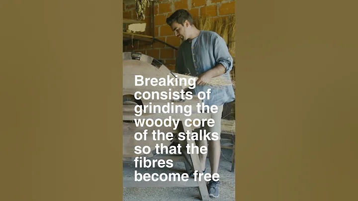 “Flax to Linen, Seed to Fibre” - The Flax Break