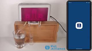 How to connect an Aqua Medic Reef Doser EVO to Wi-Fi (English)