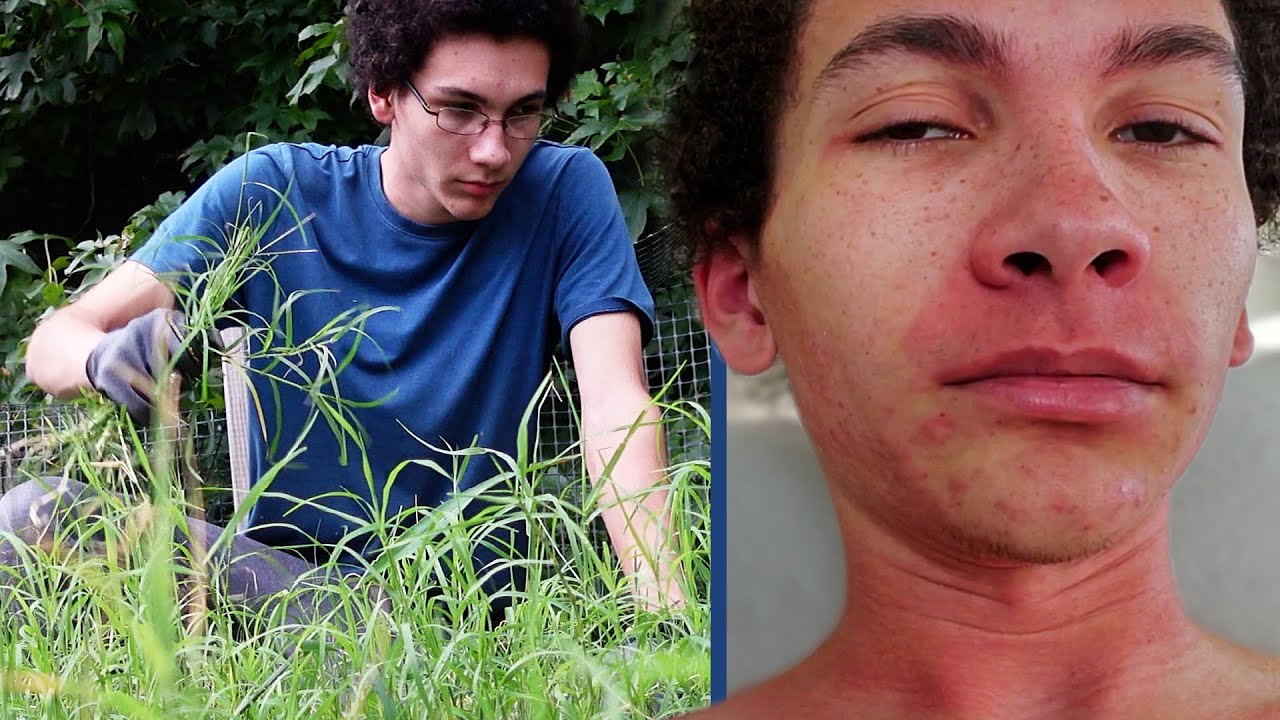 Something in My Garden Tried to Kill Me