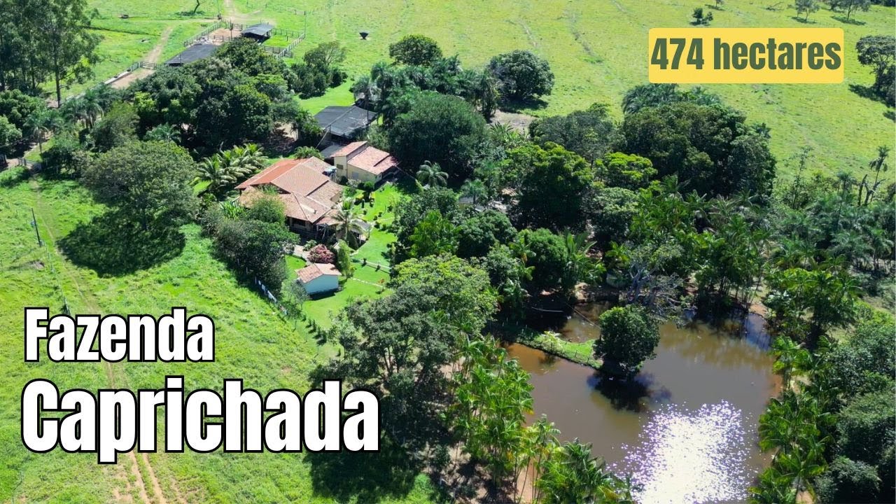 Fazenda caprichada, muito bonita, plana e de alto potencial produtivo