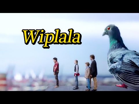 Wiplala，A family was unexpectedly shrunk, riding pigeons in the sky