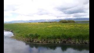 Ardahan Kura Nehri 2016