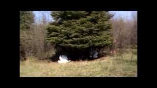 Kung Fu Fighting Music Video