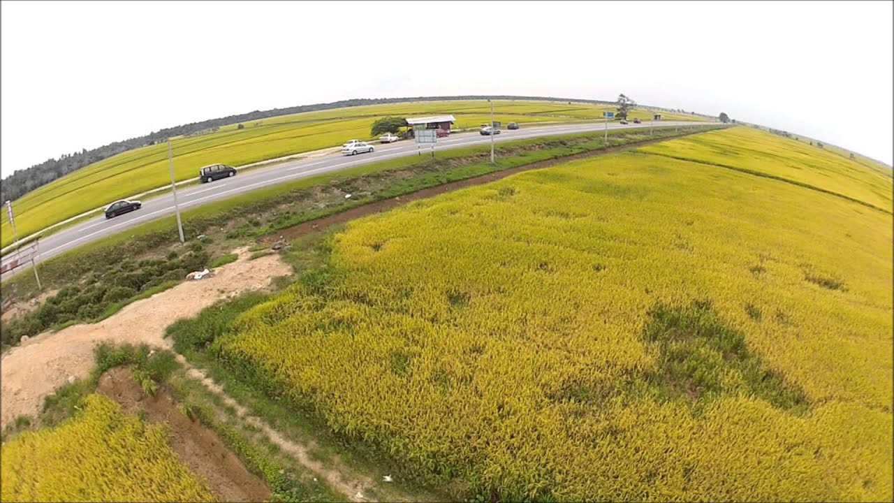 Padi Seberang Perak Gopro Hero2 And Apm 2 5 Youtube