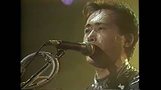 P-MODEL - LEAK(LIVE 1988)