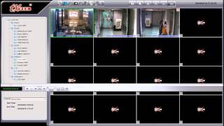 Playback & AVI Export