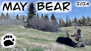 May Bear Hunt British Columbia 2024