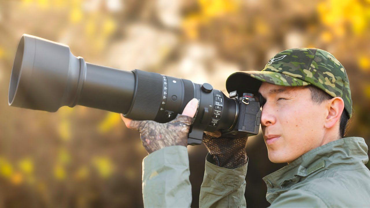 Sigma 60600mm Lens Review for Wildlife/Bird Photography YouTube