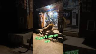 मेरे दुकान पे अचानक बाघ आ गया #soundeffects #animals #funny #bacho #comedy #loinoigoivang