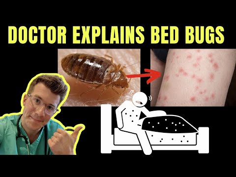 Do Bedbugs Only Bite Once