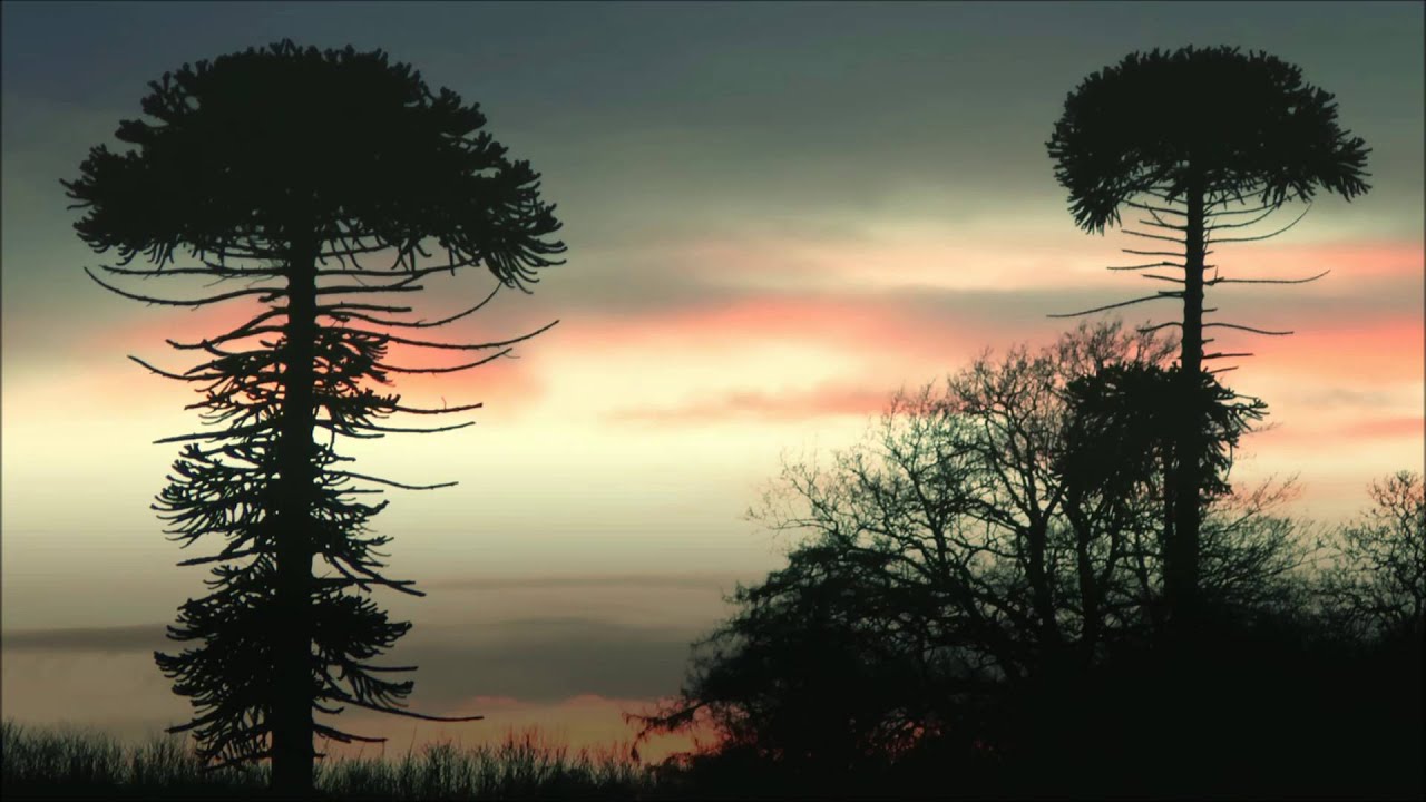 Kevin Holdeen - Magic Mushroom (Original Mix) [Techno]