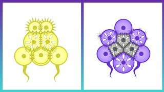 Survival Strategies: The Tactics Of Prey Vs. Predator || Cell Lab