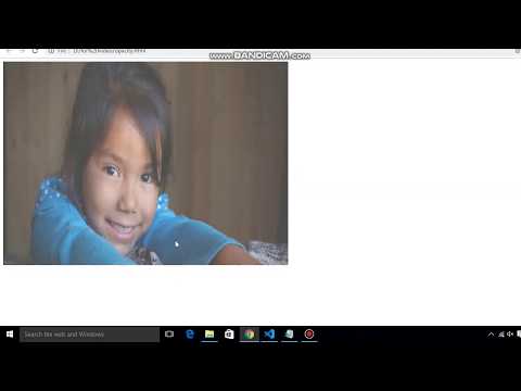 Css Opacity Property