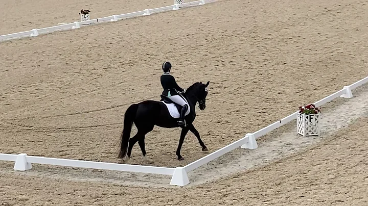 Flynns Third Level Freestyle
