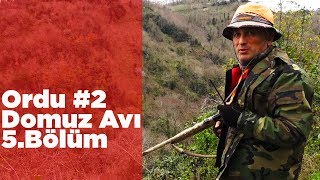 Ordu Domuz Avı 2 Ekip İşi 5.Bölüm Yaban Tv Wild Boar Hunting