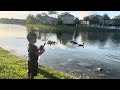 2 1/2 year old catches peacock bass
