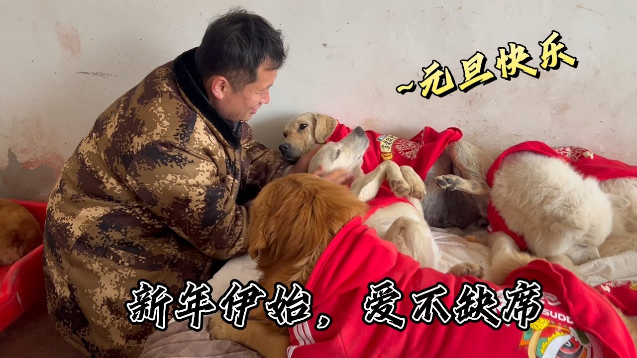 元旦開飯啦！粉絲牌愛心糧，把毛孩子喂得飽飽的～