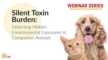 Silent Toxin Burden: Detecting Hidden Environmental Exposures in Companion Animals