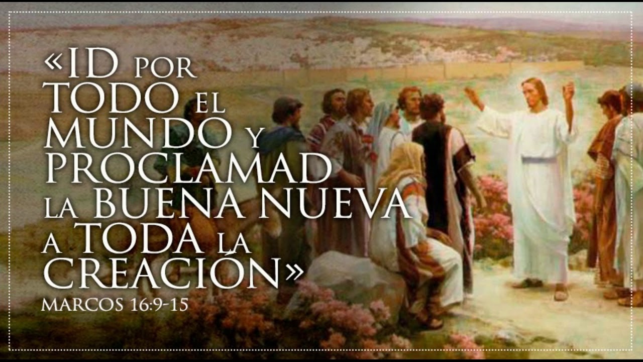 Vayan Por El Mundo Y Perdonen Los Pecados