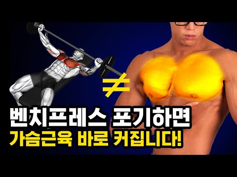   고중량 벤치프레스 를 버리고 안크던 가슴근육이 커졌습니다 초중급자 가슴 운동 루틴