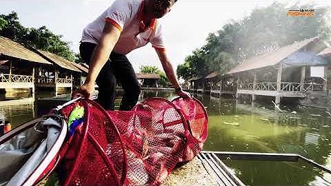 Bộ Câu Rô Phi Kim Long | VIETNAM FISHING PRODUCTS