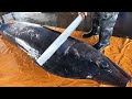 The fastest and smoothest swordfish cutting skills