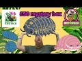 £50 mystery box from micro exotics