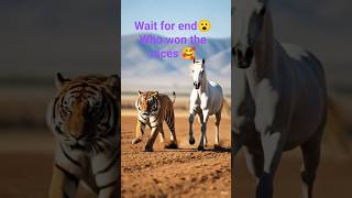 tiger vs horse running races#youtubeshorts #aivideo #cute #viral #shorts #ai #tiger #horse
