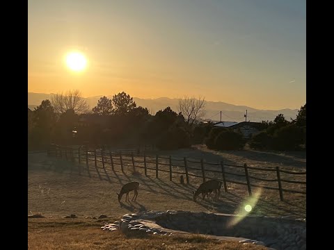 13786 Travois Trail, Parker, CO home video tour
