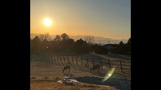 Jill Summers-Monds presents 13786 Travois Trail Parker, CO | ColdwellBankerHomes.com