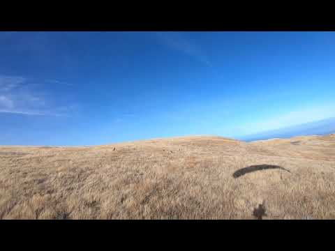 Paramotor Deer Stalking January 2018