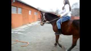 101_1482.MOV