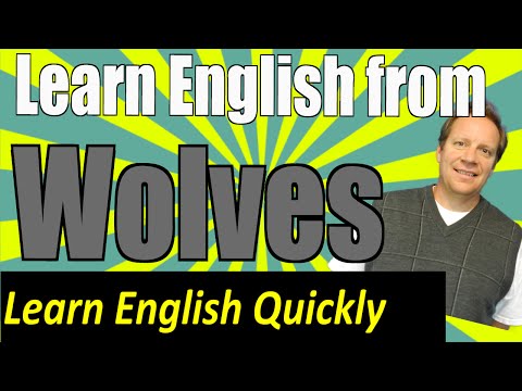 English Listening Lesson From Wolves: Practice Your English Comprehension With This Viral Video