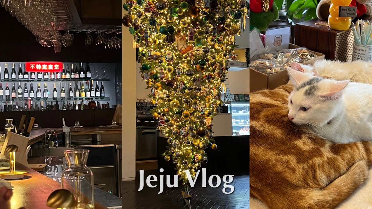 Jeju vlog❄️10번 넘게 갔지만 이런 제주 여행은 처음이야.. | 코스요리 혼밥하고 혼술바 조지기 | 혼자 사람 10명 사귀고 돌아오는 개꿀잼 제주🤍| 이자카야 찐맛집 추천