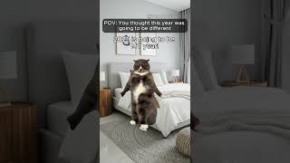 😭 POV: You Thought This Year Would Be Different... | Relatable Cat Memes!