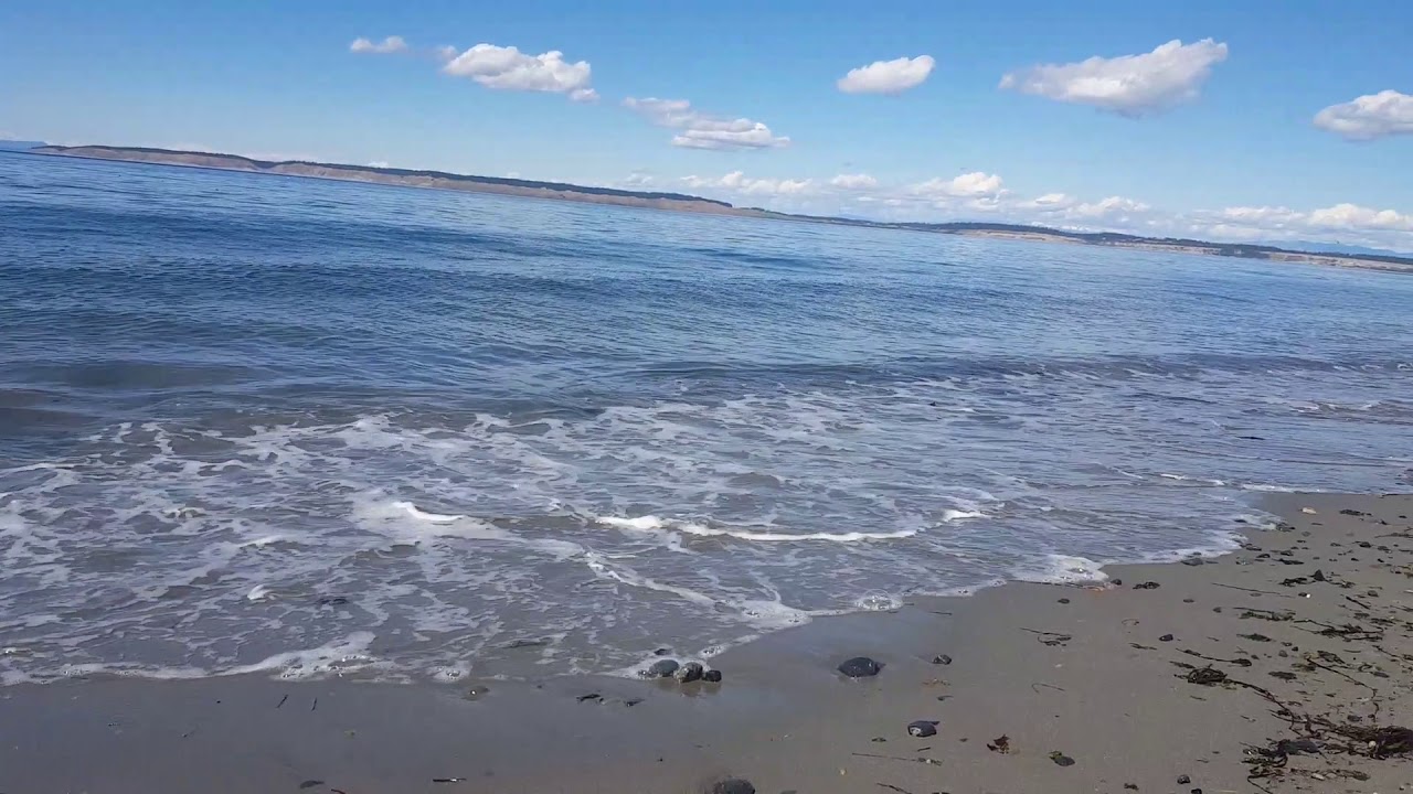 Bainbridge Island beach