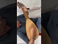 Why This Renaissance Lute Sounds Better Than a Guitar 🤔 #shorts