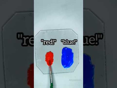 Masetala Drawing Drawing Aka Kiro Masetala Shorts 