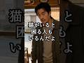 見てしまった…あの子の一言を！猫を嫌っていた男が変わった理由