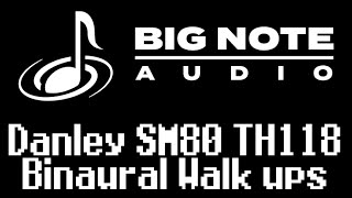Danley SM80 TH118 Binaural Walk ups