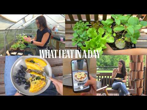 What I Eat In A Day to Support Energy and Focus thanks to my dietitian