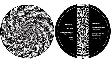 [ DDM003 ] Vortex Of Entropy - Salto mentale