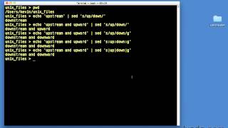 0809 sed Stream editor