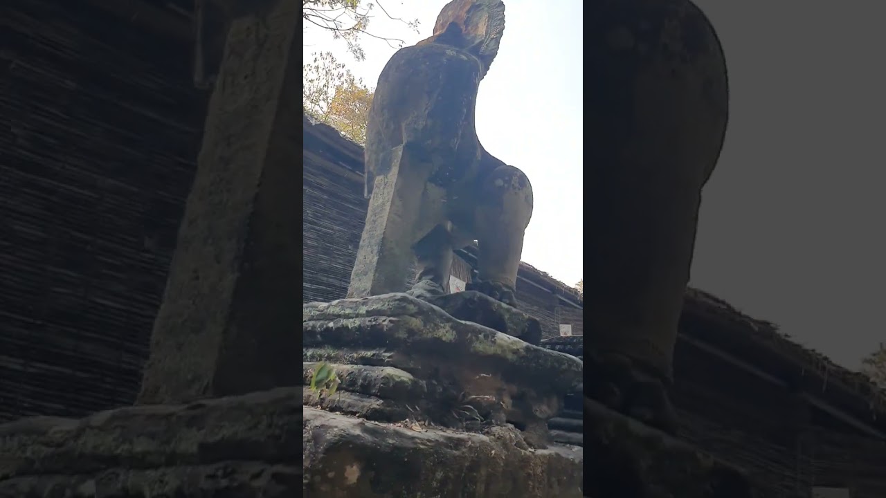 Deterioration lion stone 